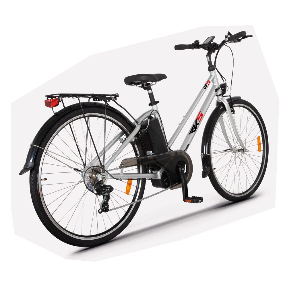 CR5-Silver-Back-1000x1000